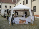 XXXI. vásári megjelenés- Egészség Nap Sárvár 2011.04.30.