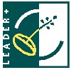 Leader